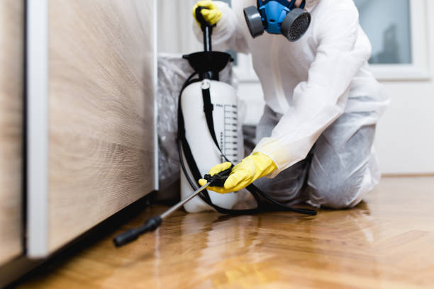 Best Bed Bug Extermination  in Vassar College, NY