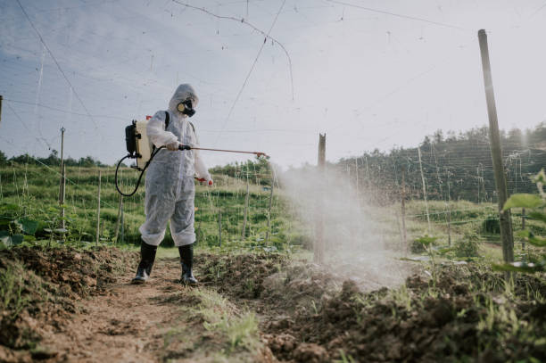 Best Local Pest Control Services  in Vassar College, NY