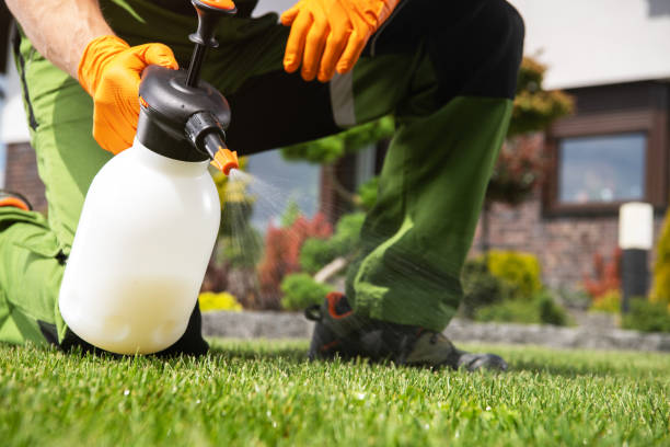 Best Emergency Pest Control  in Vassar College, NY