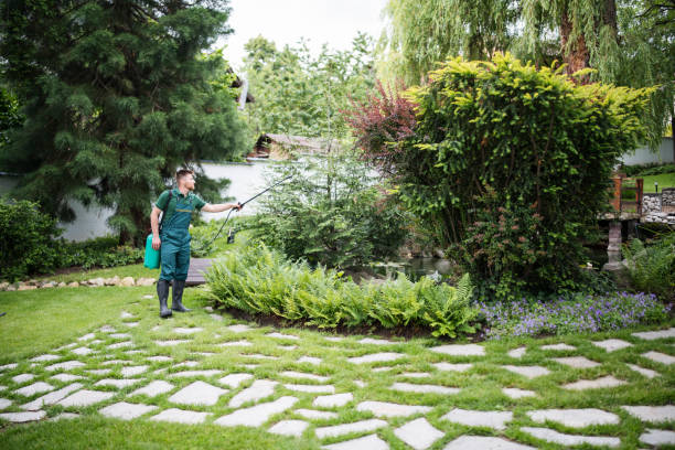 Best Ant Control Services  in Vassar College, NY