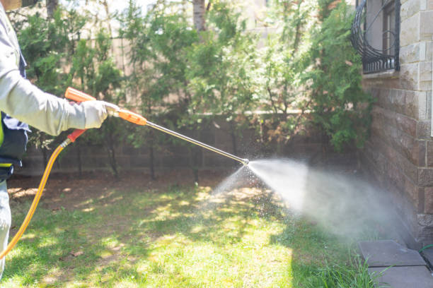 Best Flea Control Services  in Vassar College, NY