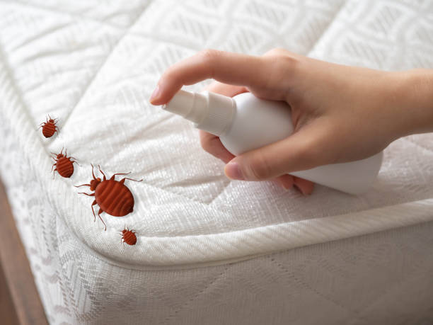 Best Termite Control Services  in Vassar College, NY