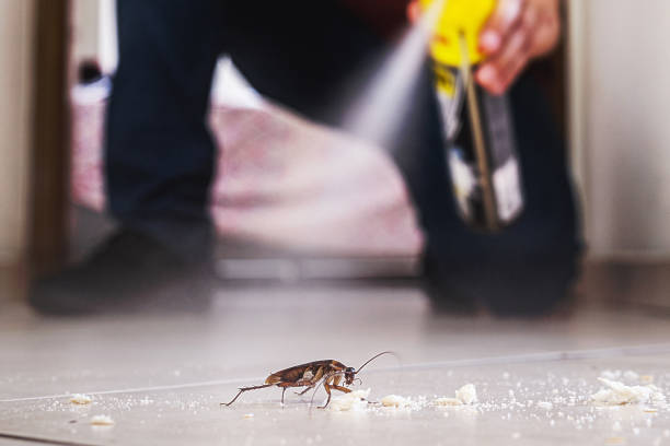 Best Pest Prevention Services  in Vassar College, NY