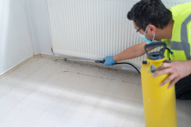 Best Emergency Pest Control  in Vassar College, NY